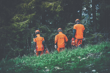 Men walking in the forest holding a chainsaw and garden tools. Lumberjacks at work wears orange personal protective equipment. Gardeners working outdoor in the forest. Security forestry worker concept