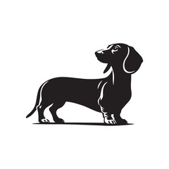 Tail-Wagging Tales: Dachshund Silhouette Ensemble Narrating Stories of Canine Curiosity, Exploration, and Endearing Moments - Dachshund Illustration - Dachshund Vector - Dog Silhouette
