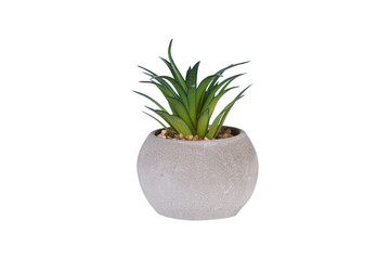 ceramic pot with decorative flowers on an isolated white background close-up