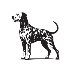 Fototapeta premium Dalmatian Silhouette Exhibit: Featuring a Stunning Showcase of Striking Canine Contours - Dalmatian Illustration - Dalmatian Vector - Dog Silhouette 