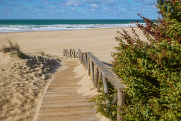 Fototapeta na wymiar Wooden path to the sea through sand dunes overgrown with bushes.
