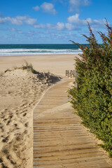 Fototapeta na wymiar Wooden path to the sea through sand dunes overgrown with bushes