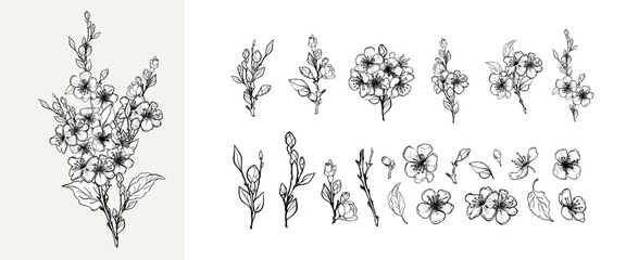 Blooming branch of sakura, apple tree, peach. Realistic outline hand drawing of beautiful flowers with buds and leaves, a set of elements for logo, wedding design. Vector illustration.
