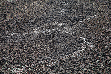 Drying of feces in a special pond. Lake for drainage of sewage. Drying of feces in a special pond for organic fertilizers.