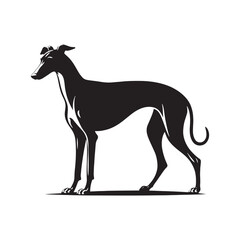 Poetic Agility: Greyhound Silhouette Collection Conveying the Poetic Beauty Found in the Agile Movements of Greyhounds - Greyhound Illustration - Greyhound Vector - Dog Silhouette
