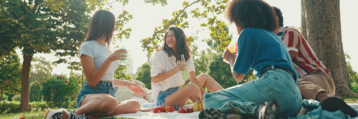 Happy smiling young multinational people at picnic on summer day outdoors. Friends have fun weekend together, relaxing in the park at picnic, Panorama