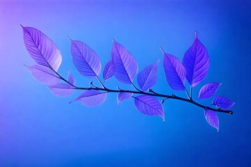 leaf on blue background