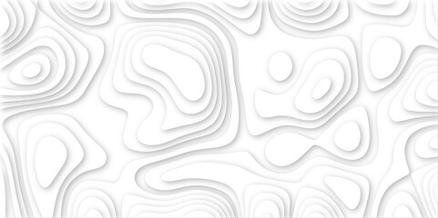  3d render, abstract white paper background. Paper cut vector art background banner texture. multi layer cutout geometric pattern on vector, Abstract soft white background with waves.