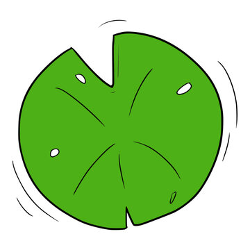 green lilypad illustration isolated vector