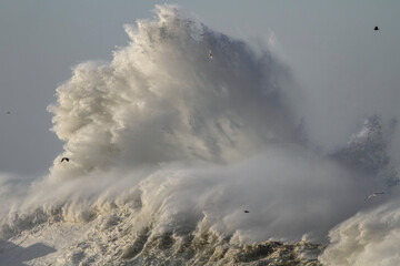 Big stormy breaking wave