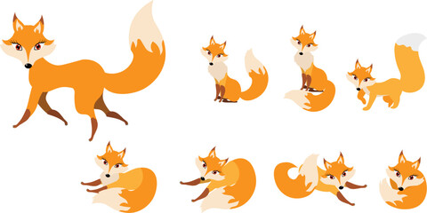 Funny collection of cute red foxes. Emotional little animal. Cartoon animal character design. Flat vector