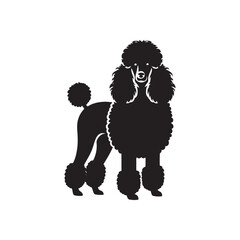 Graceful Canine Elegance: Poodle Silhouette Series Evoking the Majestic Essence of a Poodle's Form - Poodle Illustration - Poodle Vector
