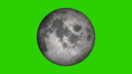 Realistic Moon isolated on the green background illustration.	