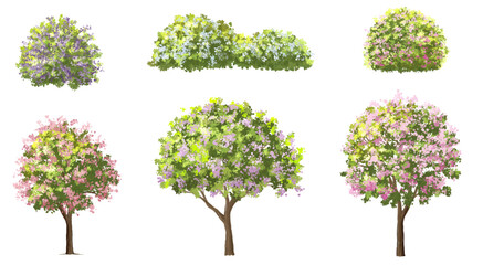 Fototapeta premium Vector watercolor blooming flower tree or forest side view isolated on white background for landscape and architecture drawing,elements for environment or and garden