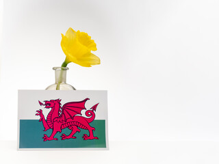 St Davids Day  Dewi Sant Patron Saint of Wales Welsh flag and daffodil isolated on a white background © Cliff