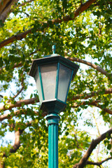 Vintage park street lamp post