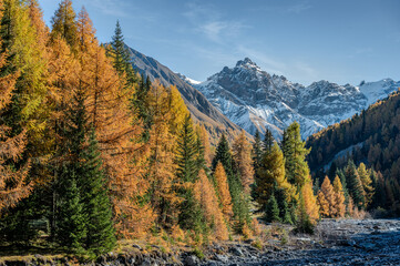 Naturmaler Herbst: Berglandschaft in lebendigen Herbsttönen - 722217500
