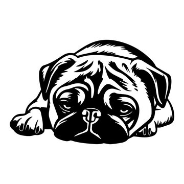 Adorable Sleeping Pug Icon Illustration, Adorable Sleeping Pug Silhouette Logo Svg Vector