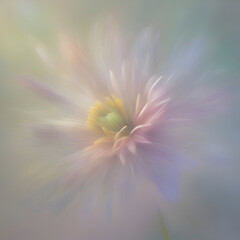 Pastel flower paintings in the impressionist style. 