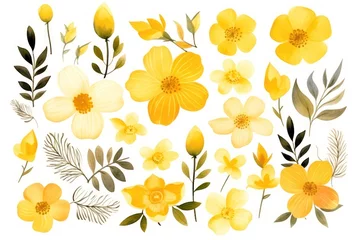 Foto op Plexiglas Yellow several pattern flower © Celina