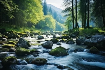  mountain river in the forest © Muhammad