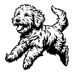 running goldendoodle icon illustration, running goldendoodle silhouette logo svg vector