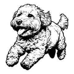 running goldendoodle icon illustration, running goldendoodle silhouette logo svg vector