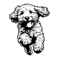 running goldendoodle icon illustration, running goldendoodle silhouette logo svg vector