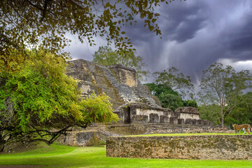 Maya Pyramide Mittelamerika mit Jaguar - 722233585