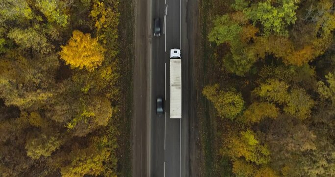 One Semi Truck with white trailer and cab driving, traveling alone on dense flat autumn yellow forest asphalt straight road, highway top down view follow vehicle aerial footage. Freeway trucks traffic