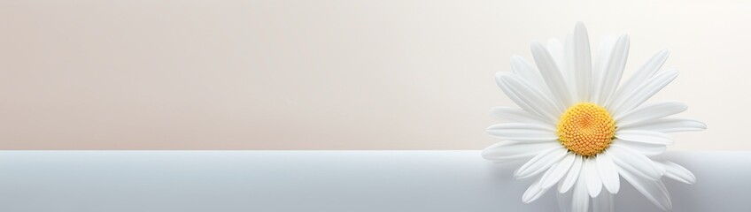 A minimalistic composition of a single white daisy against a clean backdrop, providing a simple and elegant copy space.