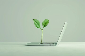 A minimalist representation of vegetarian entrepreneurship, featuring essential elements such as a sprouting seedling, laptop, and a symbolic business logo