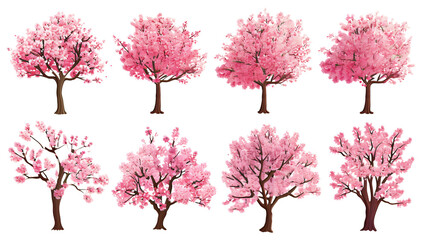 Obraz premium set of Cherry tree illustration clipart, isolated on transparent background.