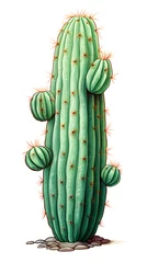 Raamstickers Cactus Cactus plant, illustration of a cactus with clean white background, plants, wild plants, desert cactus plant, flowering cactus illustration