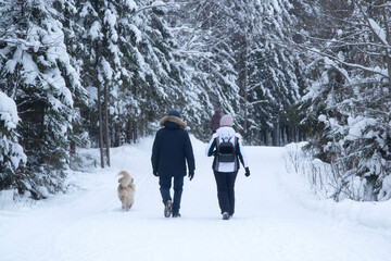 Walking with a dog in a winter park.Golden Retriever and dog owners.