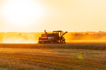 Combine harvester to gather wheat in a field during a summer sunset. Combine harvester in action....