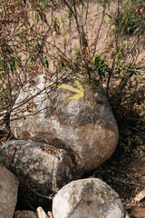camino of santiago yellow arrow painted on a rock