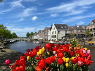 Fotobehang Tulips at the canal in Dokkum © TravelTelly