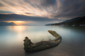 Obraz premium Silky.