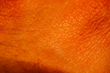 Closeup human skin texture. Healthy hand skin macro pattern. dermatology concept - 722256592
