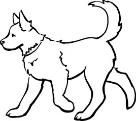 An adult domestic dog is walking. Linear vector drawing. For printing on products, advertising veterinary hospitals, farms. For printing on pet products. Images of animals in graphics. Happy pets
