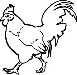 An adult domestic rooster is walking. Linear vector drawing. For printing on products, advertising veterinary hospitals, farms. For printing on pet products. Images of animals in graphics. Happy pets.