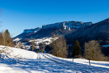 Fototapeta na wymiar Falaises de l’Aulp du Seuil en hiver depuis la hameau du Villard, à Saint-Pierre-d’Entremont, au cœur du parc naturel régional de Chartreuse