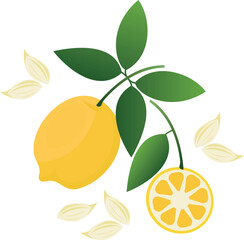 Lemons with cats. Vector stock illustration of a citron. Yellow sour citron fruit,  Lemon, lime, mandarin, orange, citrus fruit.