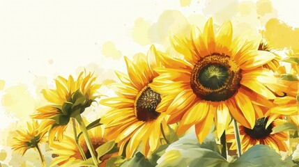 Obraz premium Watercolor Sunflowers in Full Bloom. Bright sunflowers painted in watercolor style, evoking a warm, sunny day.