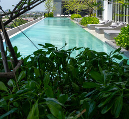 Overlooking a sprawling city, this rooftop infinity pool surrounded by lush foliage and stylish...
