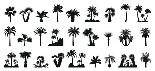 Palm tree silhouettes. Isolated flat exotic trees, palms black silhouette. Abstract botanical elements, decorative tropical plants neoteric vector clipart - obrazy, fototapety, plakaty