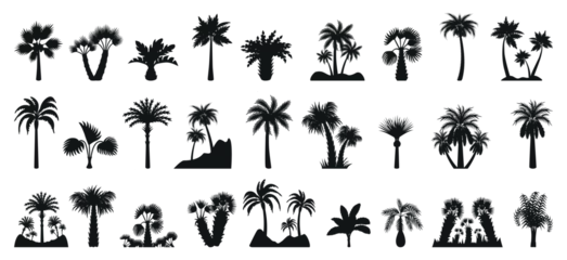 Rolgordijnen Palm tree silhouettes. Isolated flat exotic trees, palms black silhouette. Abstract botanical elements, decorative tropical plants neoteric vector clipart © MicroOne