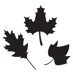 autumn leaf logo icon.  Autumn Leaf Foliage logo icon design.