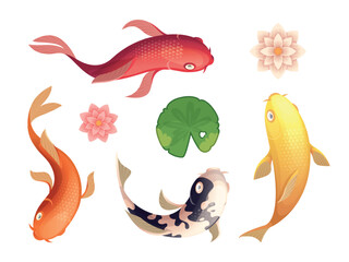 Koi fish. Asian authentic swimming animal top view exact vector aquatic template in cartoon style
